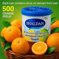 My Shaldan Japan Gel Car Perfume Air Freshener (Squash, 80 g, Citrus)